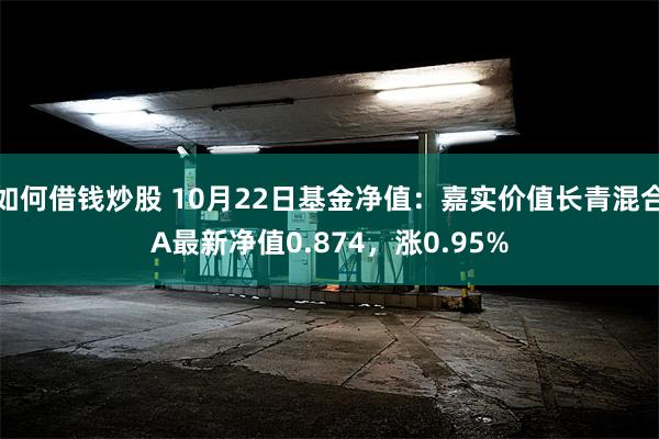 如何借钱炒股 10月22日基金净值：嘉实价值长青混合A最新净