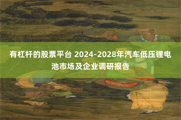 有杠杆的股票平台 2024-2028年汽车低压锂电池市场及企