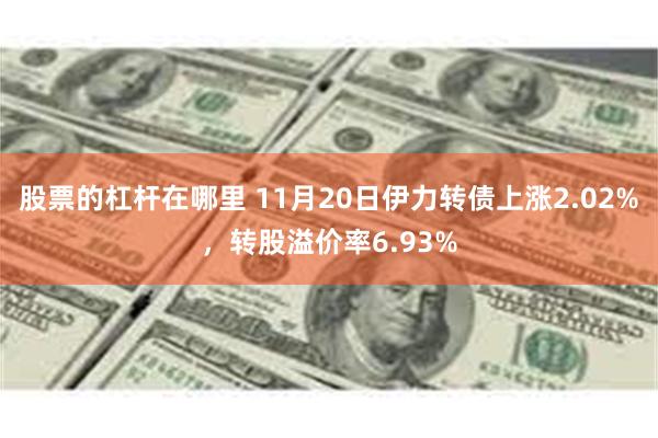 股票的杠杆在哪里 11月20日伊力转债上涨2.02%，转股溢