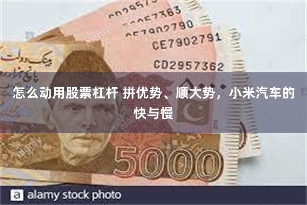 怎么动用股票杠杆 拼优势、顺大势，小米汽车的快与慢