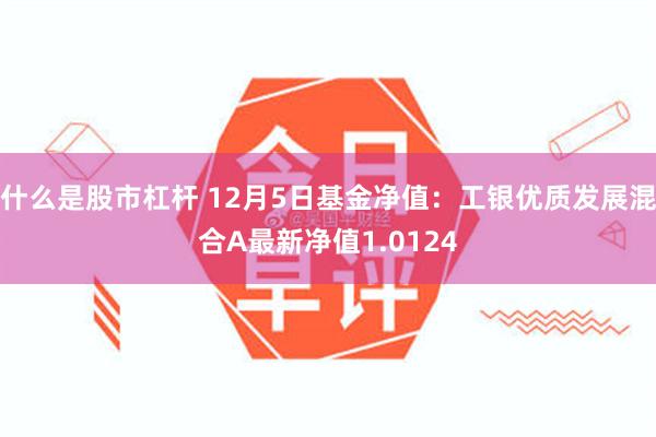 什么是股市杠杆 12月5日基金净值：工银优质发展混合A最新净