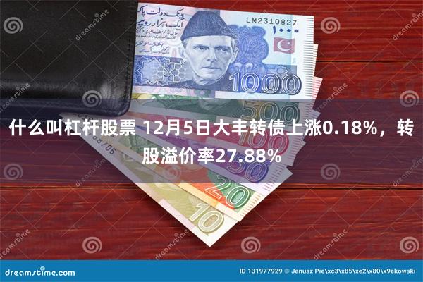 什么叫杠杆股票 12月5日大丰转债上涨0.18%，转股溢价率