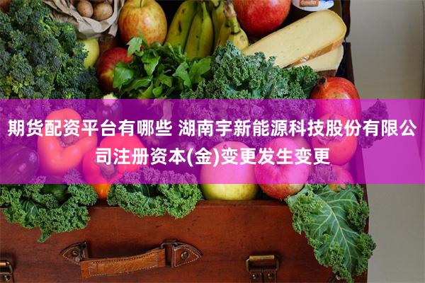 期货配资平台有哪些 湖南宇新能源科技股份有限公司注册资本(金