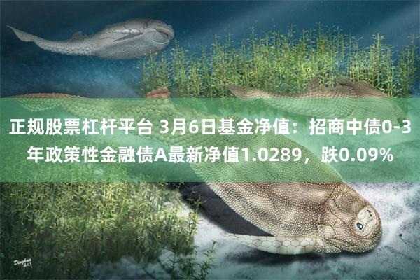 正规股票杠杆平台 3月6日基金净值：招商中债0-3年政策性金