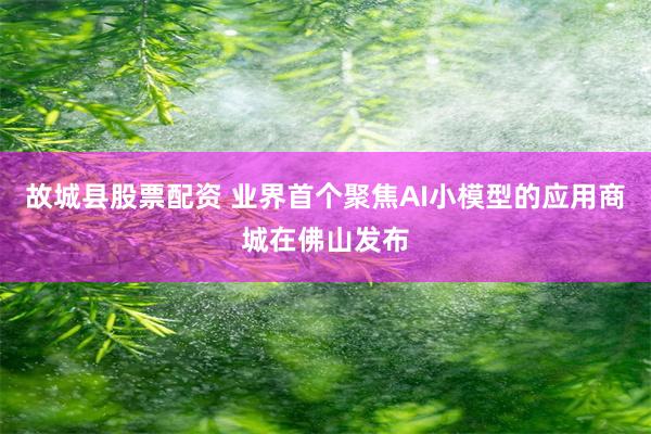 故城县股票配资 业界首个聚焦AI小模型的应用商城在佛山发布