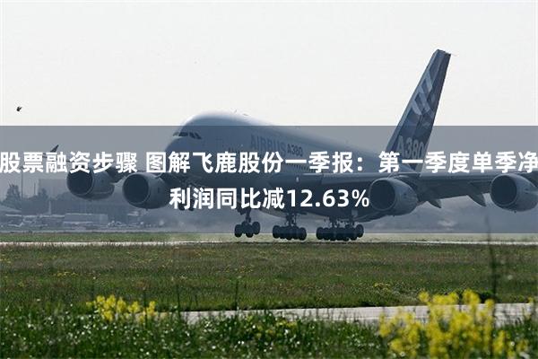 股票融资步骤 图解飞鹿股份一季报：第一季度单季净利润同比减1